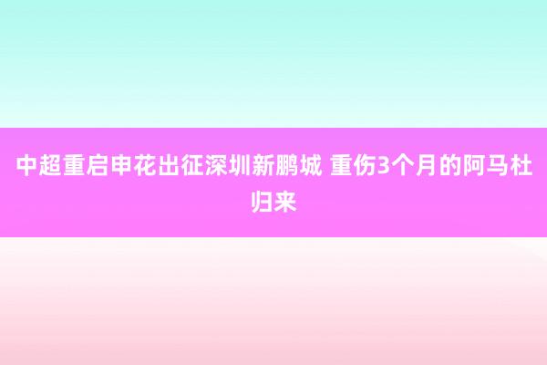 中超重啟申花出征深圳新鵬城 重傷3個(gè)月的阿馬杜歸來