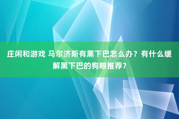 莊閑和游戲 馬爾濟斯有黑下巴怎么辦？有什么緩解黑下巴的狗糧推薦？